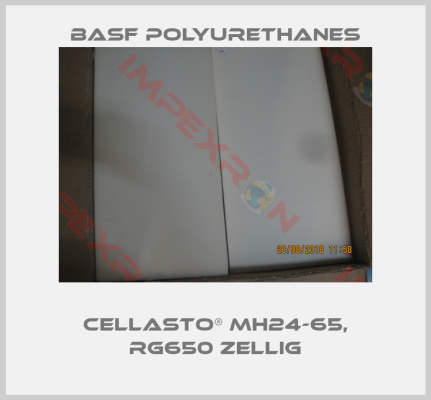 BASF Polyurethanes-CELLASTO® MH24-65, RG650 ZELLIG