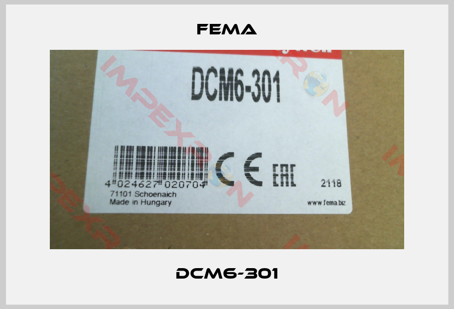FEMA-DCM6-301