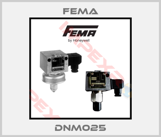 FEMA-DNM025