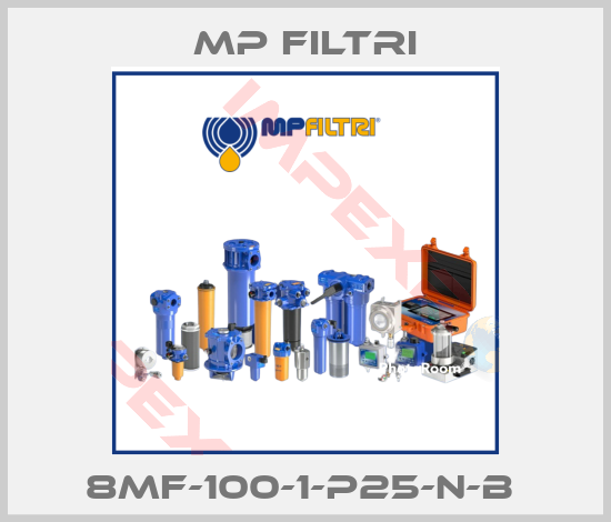 MP Filtri-8MF-100-1-P25-N-B 