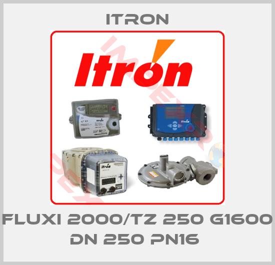 Itron-FLUXI 2000/TZ 250 G1600 DN 250 PN16 