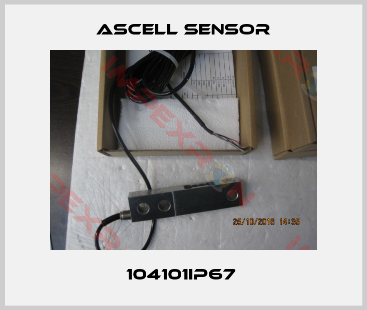 Ascell Sensor-104101IP67 