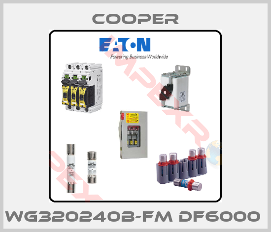 Cooper-WG320240B-FM DF6000 