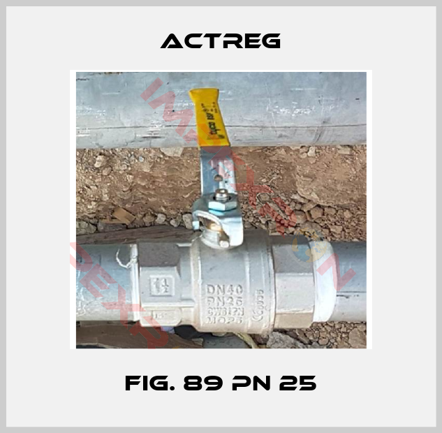 Actreg-Fig. 89 PN 25