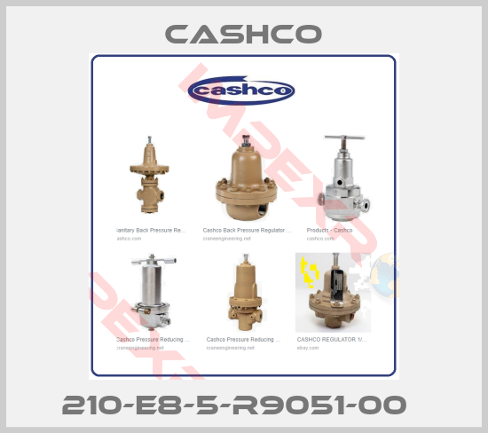 Cashco- 210-E8-5-R9051-00  
