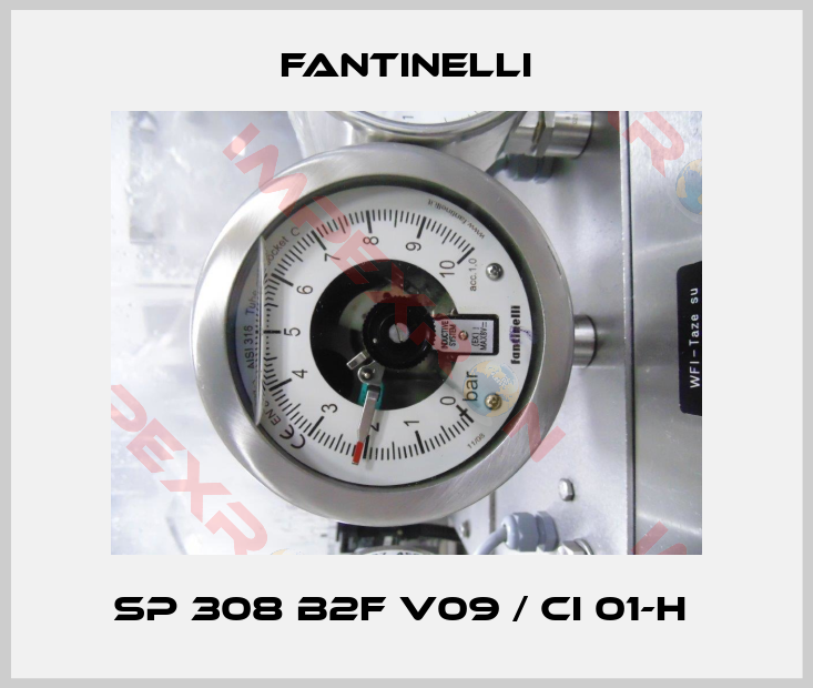 Fantinelli-SP 308 B2F V09 / CI 01-H 