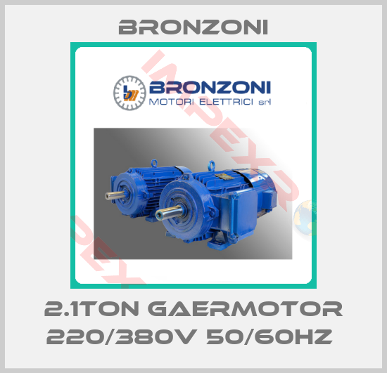 Bronzoni-2.1Ton GaerMotor 220/380V 50/60Hz 