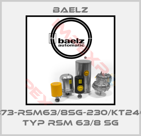 Baelz-99373-RSM63/8SG-230/KT24669  Typ RSM 63/8 SG