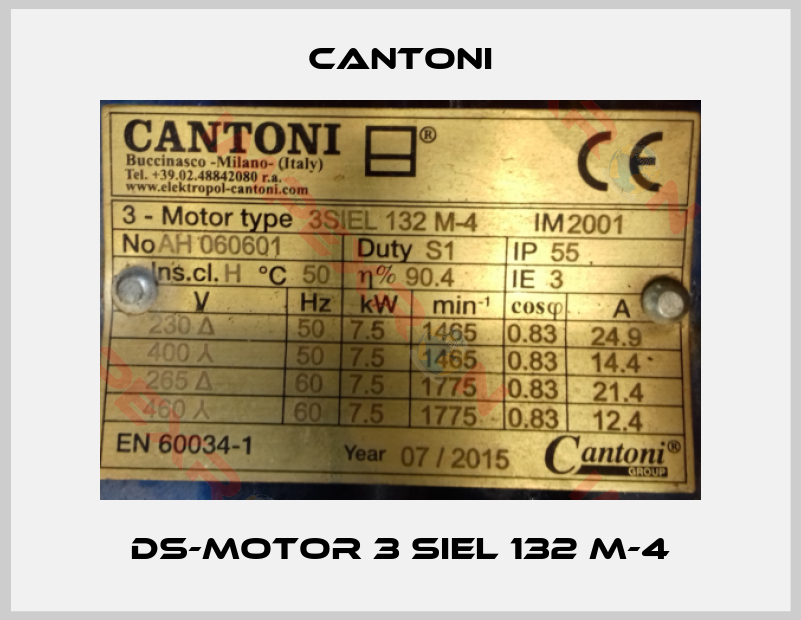 Cantoni-DS-Motor 3 SIEL 132 M-4