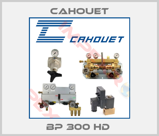 Cahouet-BP 300 HD 