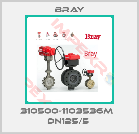 Bray-310500-1103536M   DN125/5 