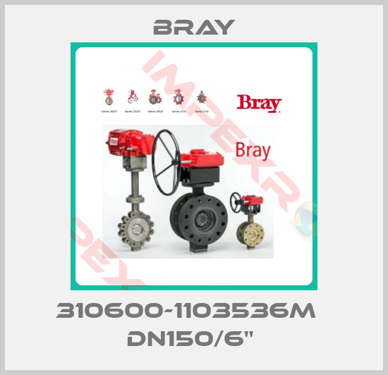 Bray-310600-1103536M   DN150/6" 