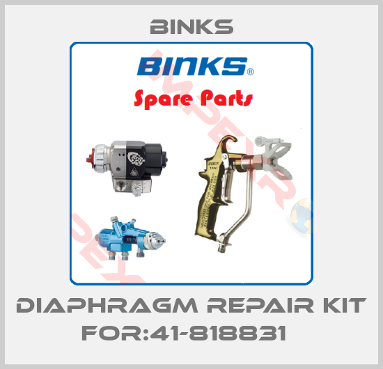 Binks-Diaphragm Repair Kit For:41-818831  