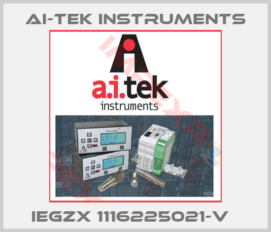 AI-Tek Instruments-IEGZX 1116225021-V  