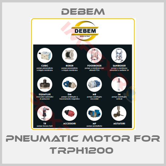 Debem-Pneumatic motor for TRPH1200 