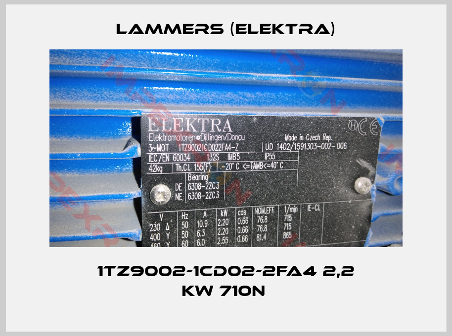 Lammers (Elektra)-1TZ9002-1CD02-2FA4 2,2 kW 710n 