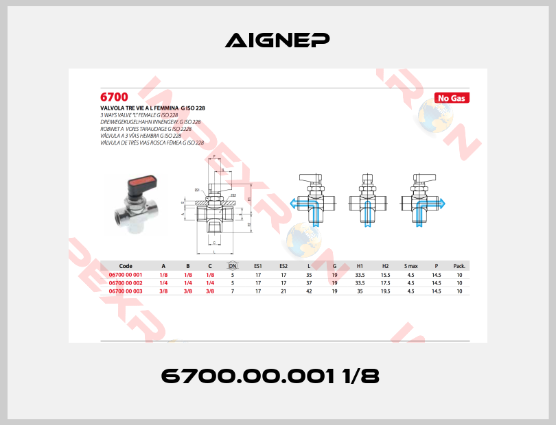 Aignep-6700.00.001 1/8  