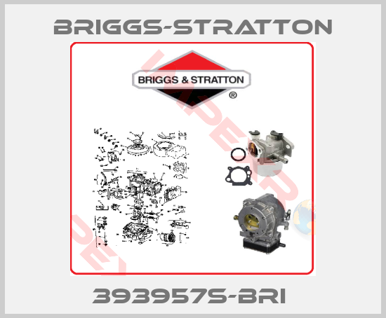 Briggs-Stratton-393957S-BRI 