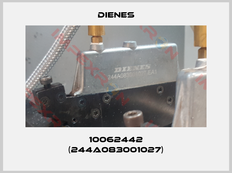 Dienes-10062442 (244A083001027)