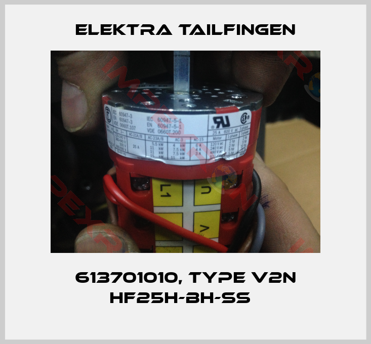 Elektra Tailfingen-613701010, type V2N HF25H-BH-SS  