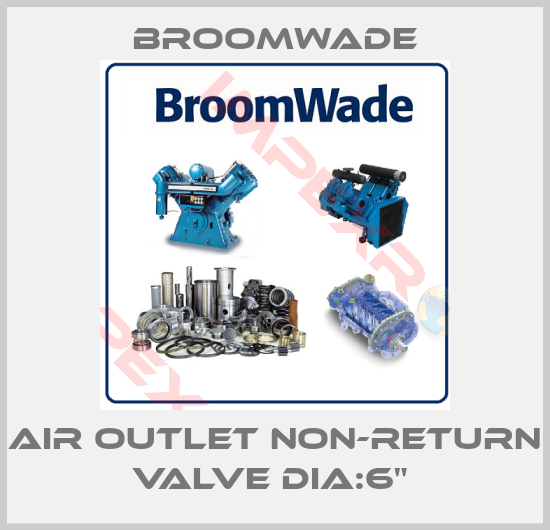Broomwade-AIR OUTLET NON-RETURN VALVE DIA:6" 
