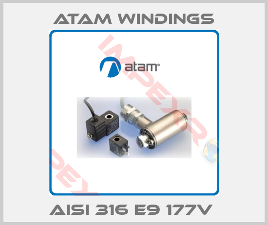 Atam Windings-AISI 316 E9 177V 