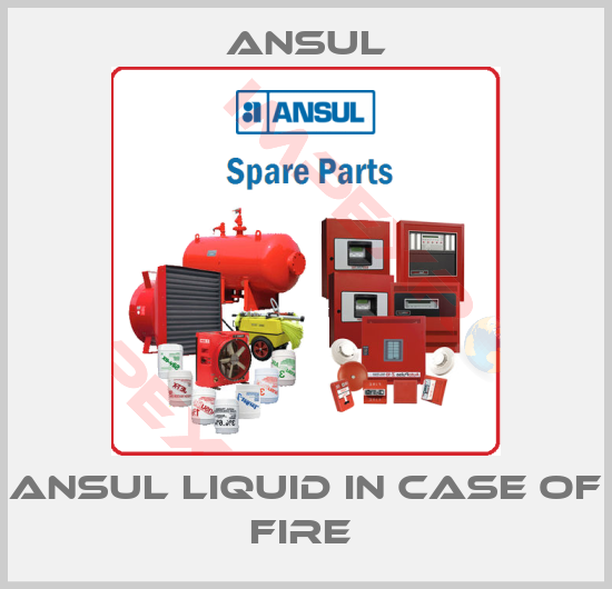 Ansul-ANSUL LIQUID IN CASE OF FIRE 
