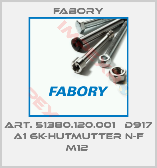 Fabory-ART. 51380.120.001   D917 A1 6K-HUTMUTTER N-F M12 