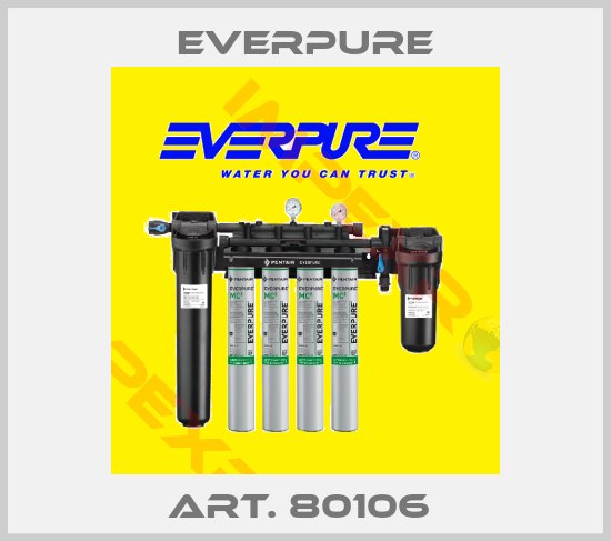 Everpure-ART. 80106 
