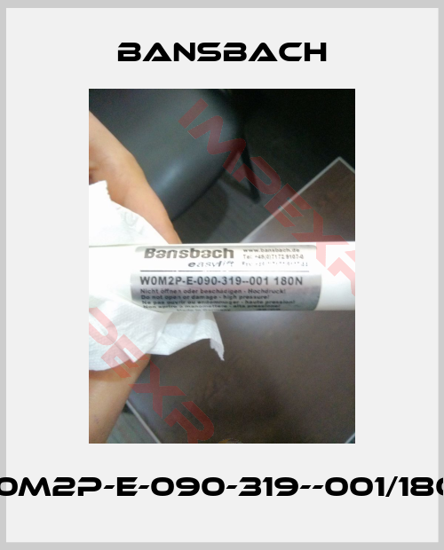 Bansbach-W0M2P-E-090-319--001/180N