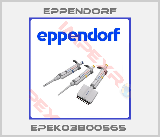 Eppendorf- EPEK03800565 