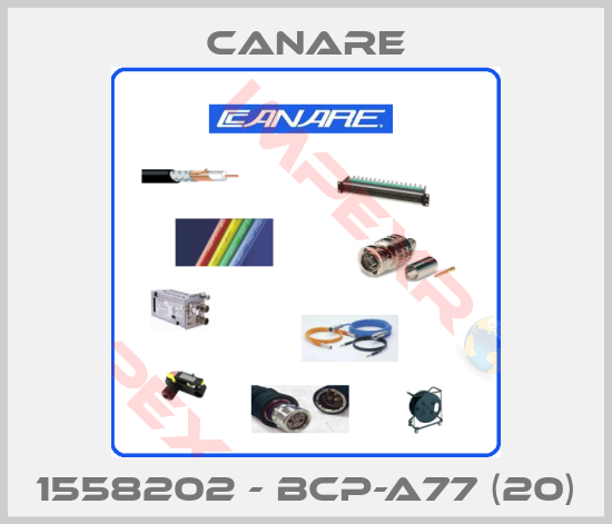 Canare-1558202 - BCP-A77 (20)