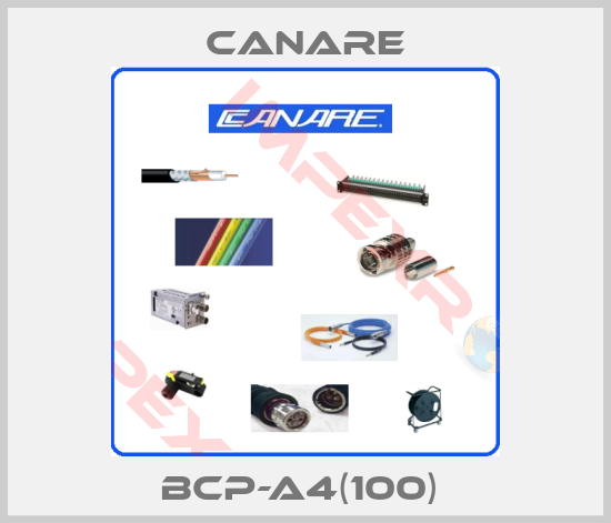 Canare-BCP-A4(100) 