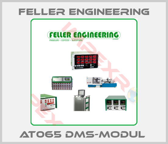 Feller Engineering-AT065 DMS-Modul 