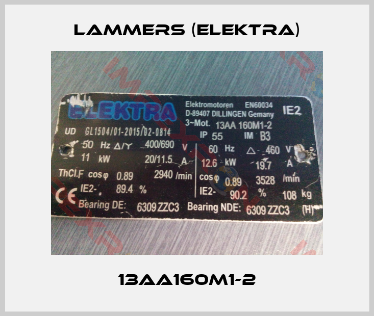 Lammers (Elektra)-13AA160M1-2