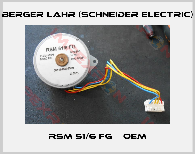 Berger Lahr (Schneider Electric)-RSM 51/6 FG    OEM