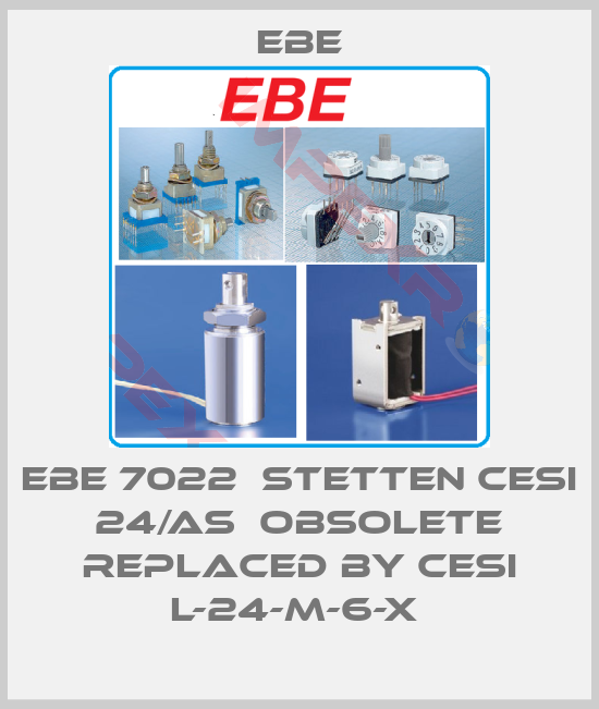 EBE-EBE 7022  STETTEN CESI 24/AS  obsolete replaced by CESI L-24-M-6-X 