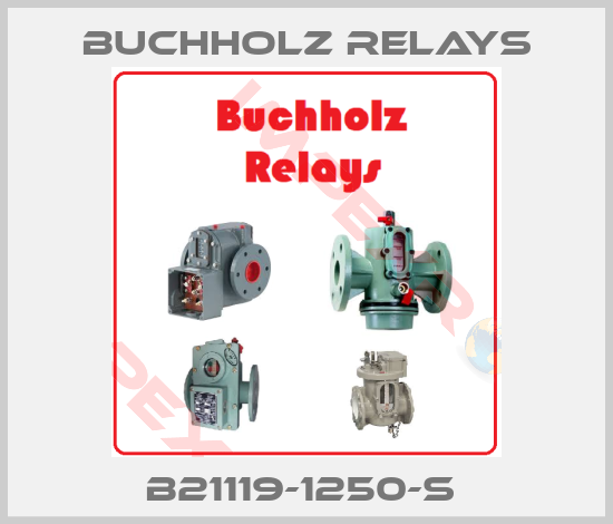 Buchholz Relays-B21119-1250-S 