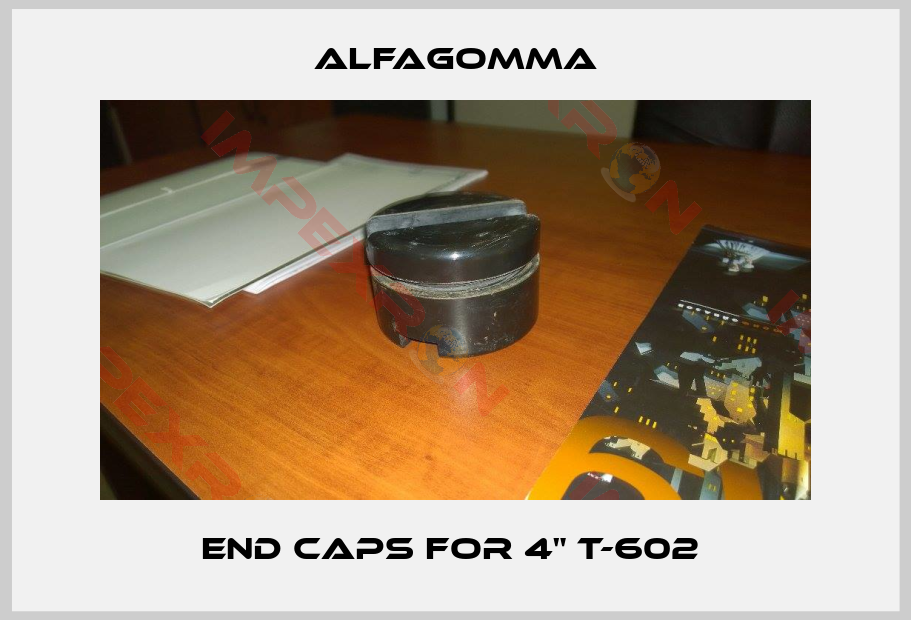 Alfagomma-End Caps for 4" T-602 