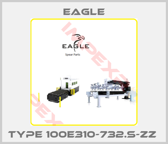EAGLE-TYPE 100E310-732.S-ZZ 