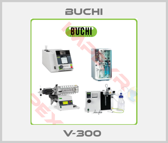 Buchi-V-300 