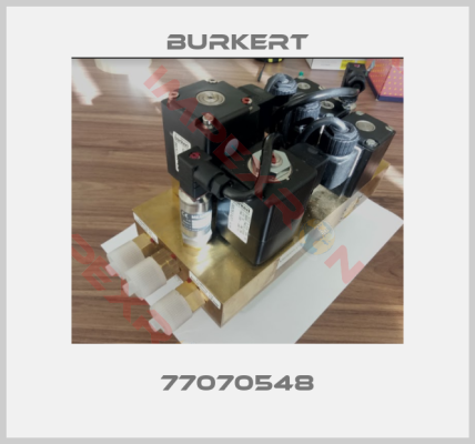 Burkert-77070548