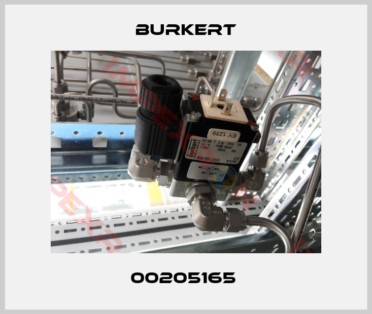 Burkert-00205165 