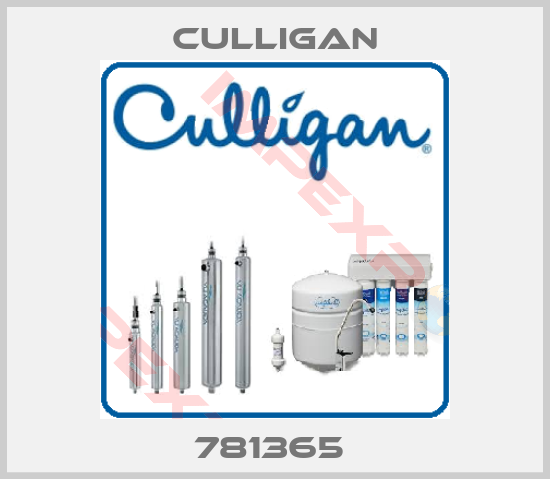 Culligan-781365 