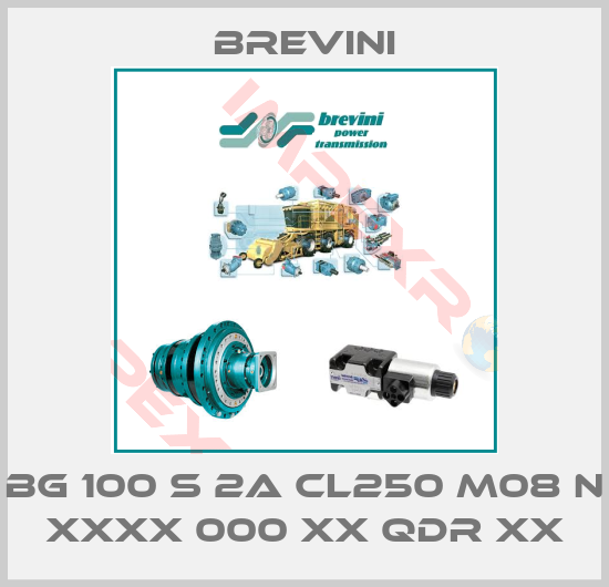 Brevini-BG 100 S 2A CL250 M08 N XXXX 000 XX QDR XX