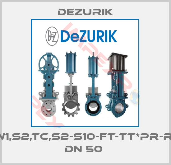DeZurik-BHP,2,W1,S2,TC,S2-S10-FT-TT*PR-R1A-PC4  DN 50 