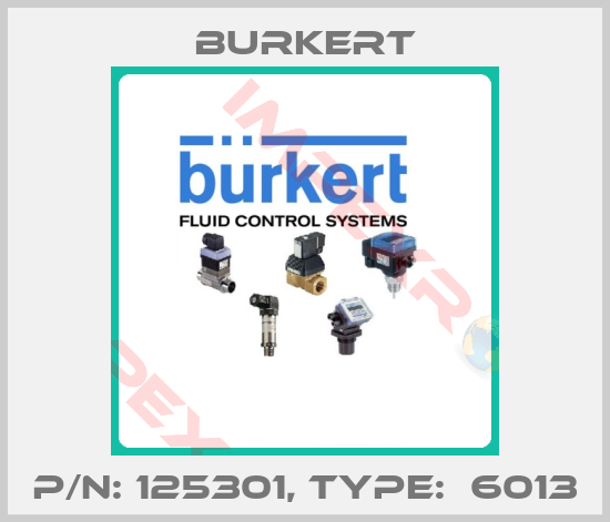 Burkert-p/n: 125301, Type:  6013