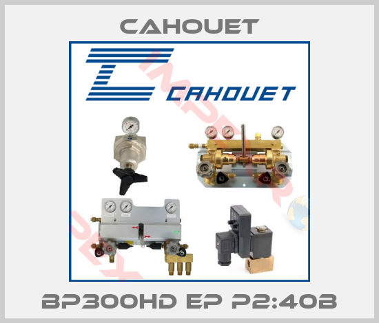 Cahouet-BP300HD EP P2:40B