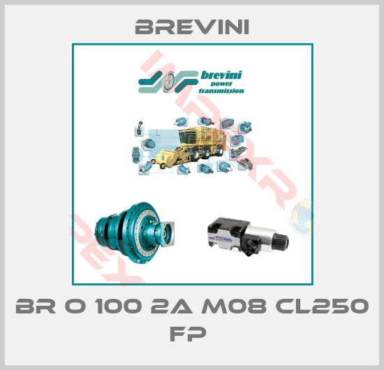 Brevini-BR O 100 2A M08 CL250 FP 