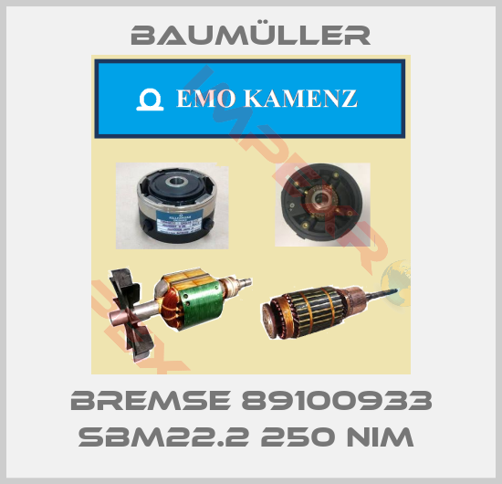 Baumüller-BREMSE 89100933 SBM22.2 250 NIM 
